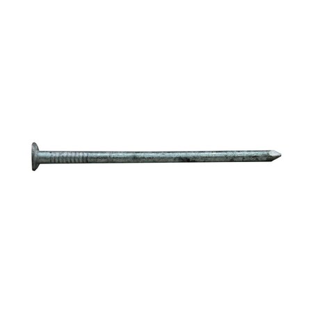 Pro-Fit Pro-Fit 3-1/2 in. Box Hot-Dipped Galvanized Nail Flat Head 5 lb 0057195